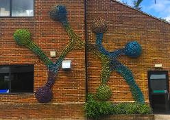 woven willow art sculpture, land art, school,Mark Antony Haden Ford