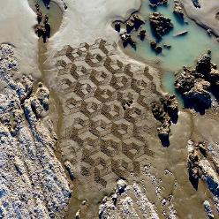 sand drawing, Climping Beach west, sussex