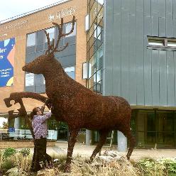 Surrey Stag, Guildford, Surrey Business School, University of Surrey, 