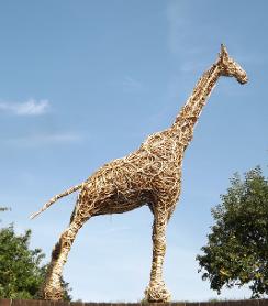 Giraffe Sculpture,Mark Antony Haden Ford, land art, sculpture, willow, environmental art, sculpture