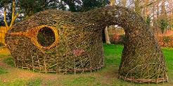 #dicotyledon,Mark Antony Haden Ford, land art, sculpture, willow, environmental art, sculpture