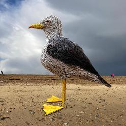 Chips the seagull, Littlehampton, landart, environmental art,Mark Antony Haden Ford