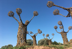 Acorn Monster,Mark Antony Haden Ford, land art, sculpture, willow, environmental art, sculpture