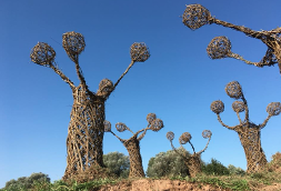 Tree Henge, Art Kaunas, Lithuania